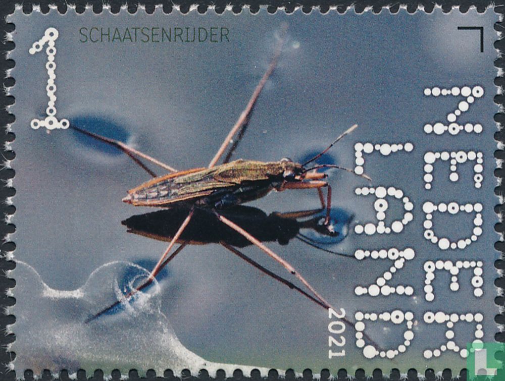 Schlittschuhläufer