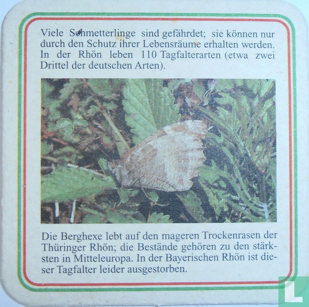 Berghexe