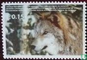 Loup