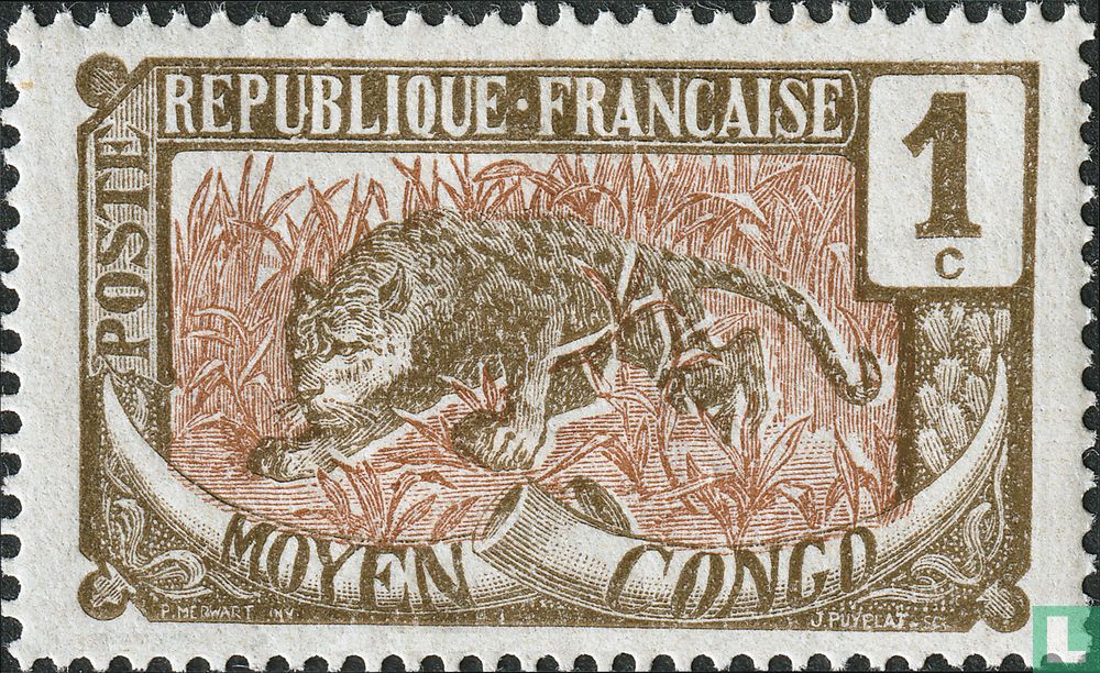 Leopard