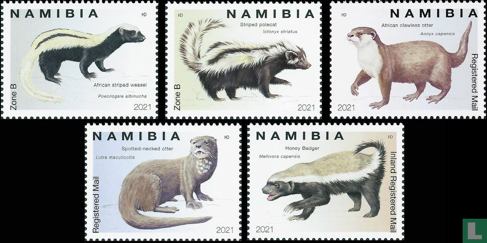 Mustelids