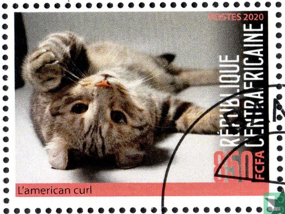 Cats