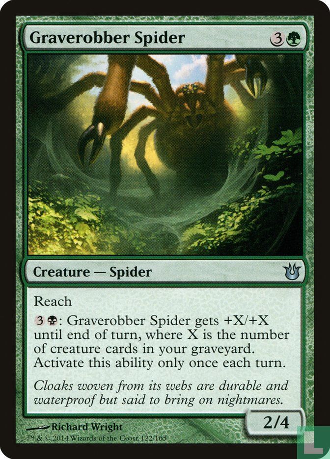 Graverobber Spider
