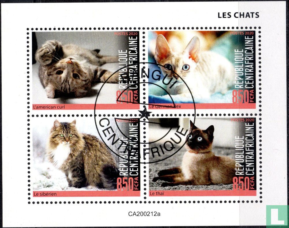 Chats