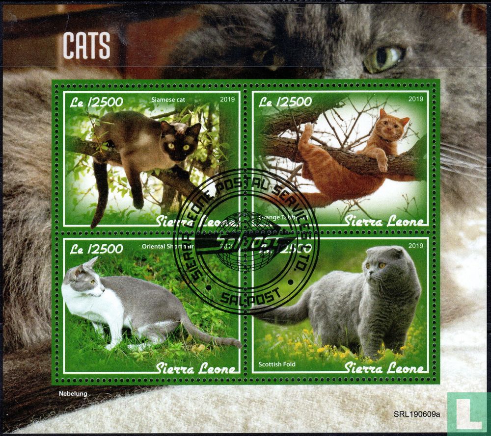 Chats