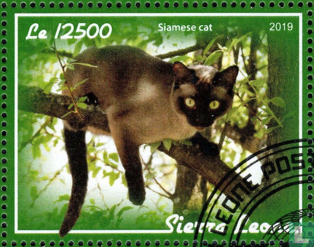 Cats