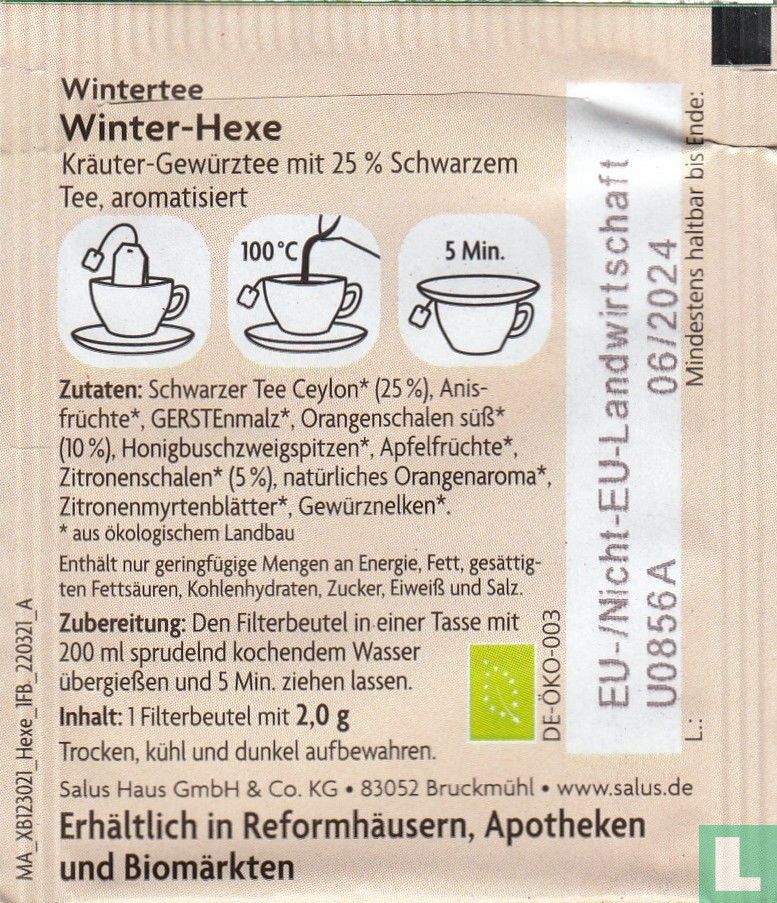 Winter-Hexe