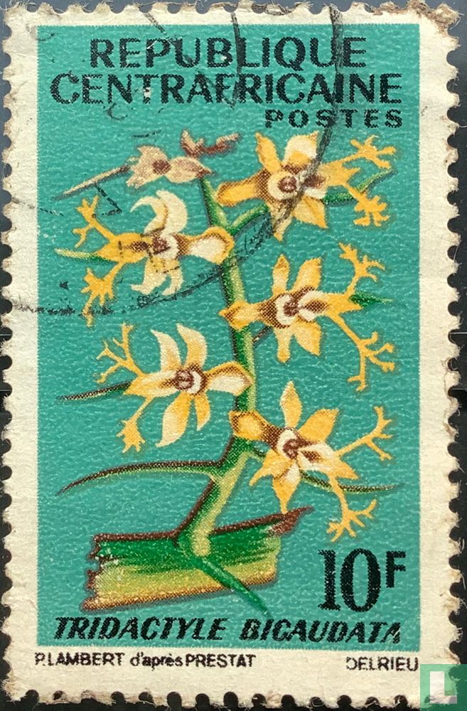 Fleurs