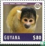 Singe
