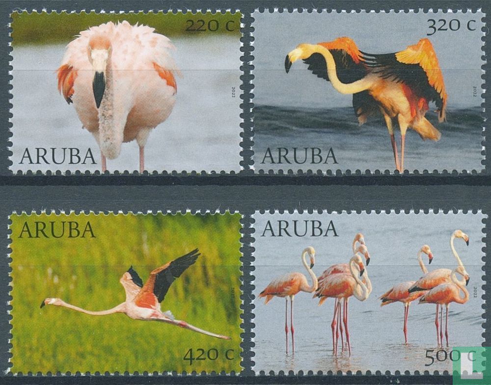 Flamants roses