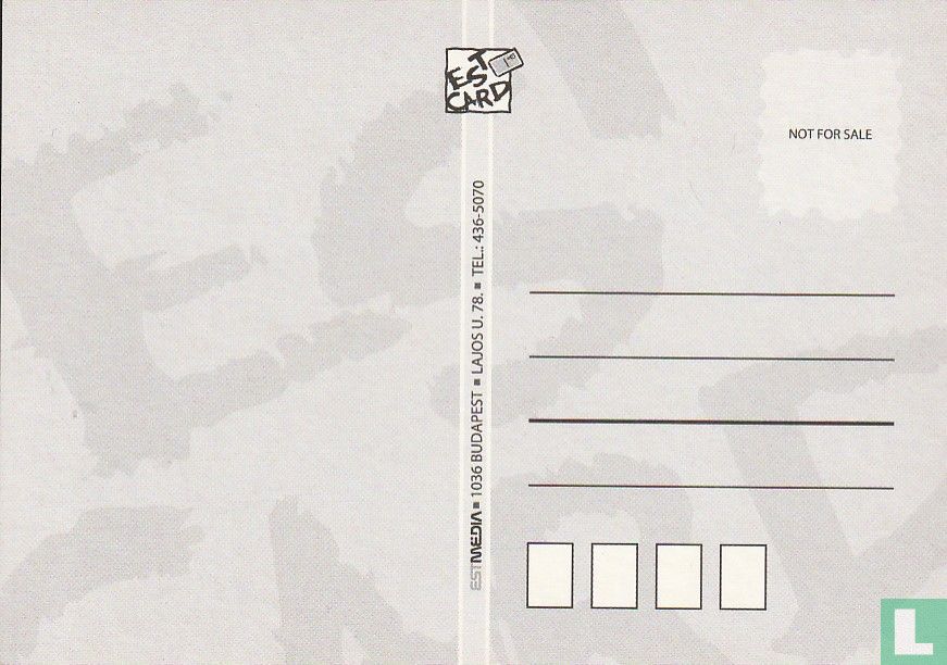 Szin / Borsodi