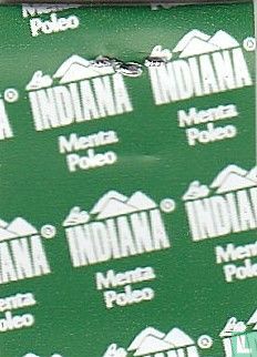 Menta Poleo 