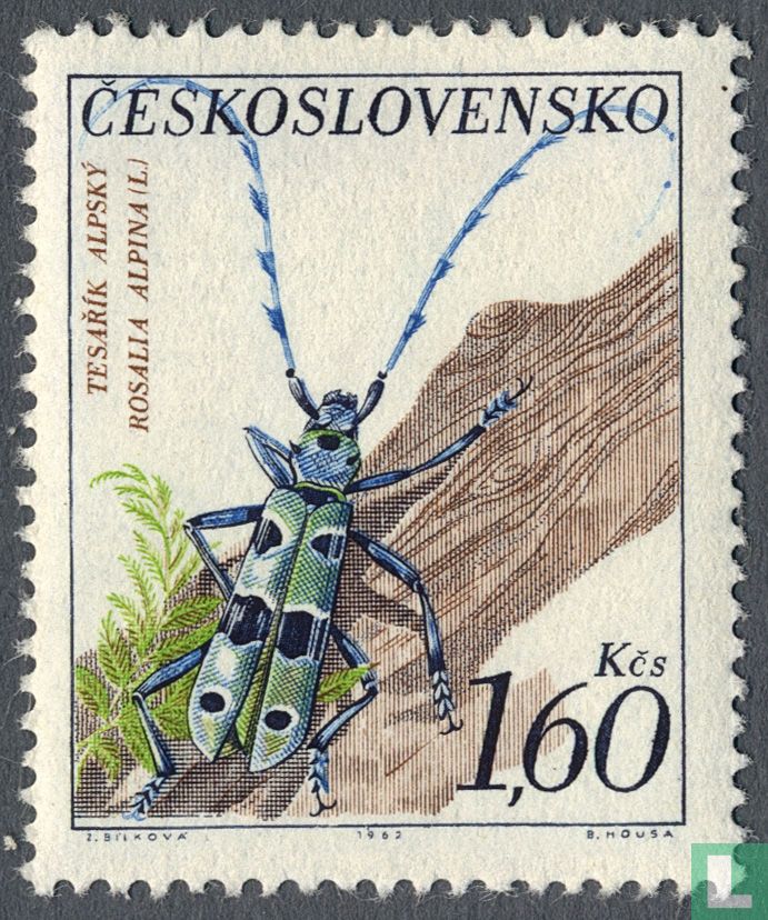 Alpenboktor