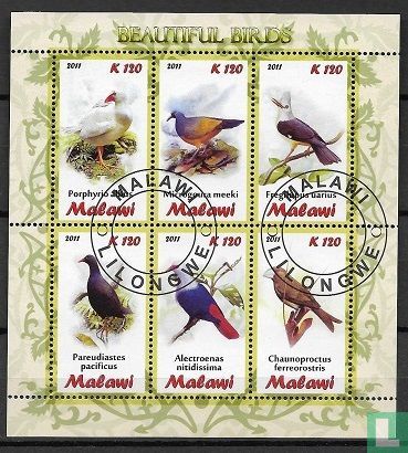 beaux oiseaux