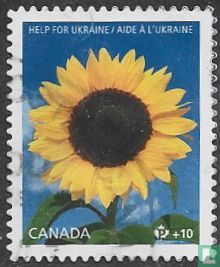 Help to Ukraine