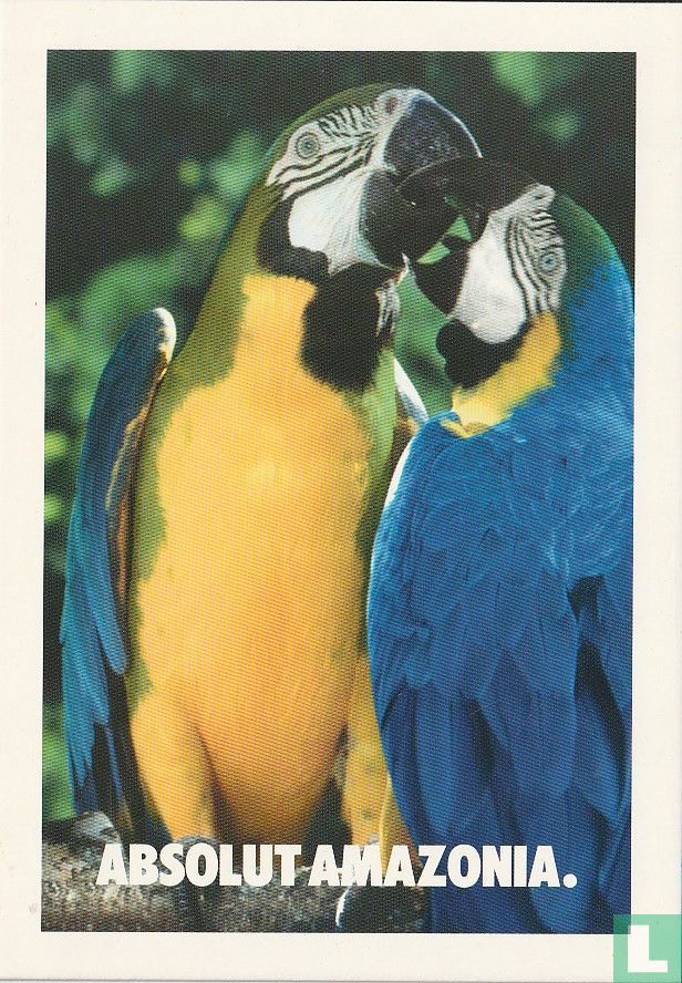 03091 - Absolut Amazonia.
