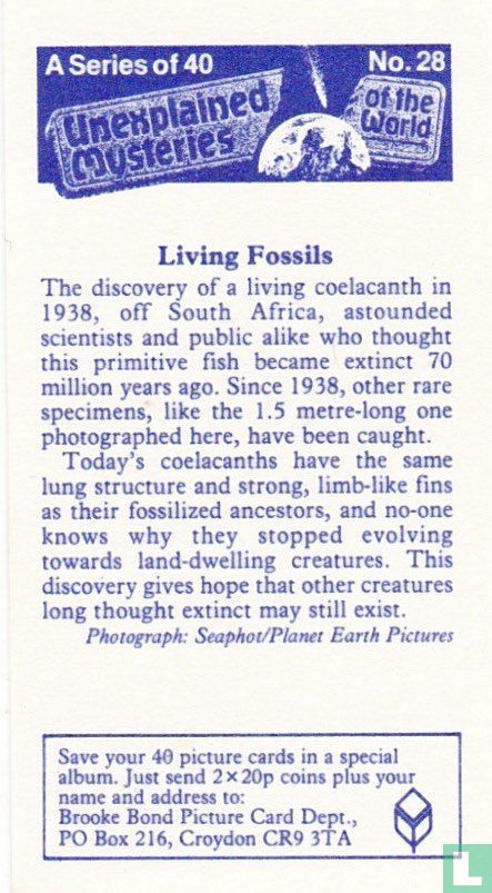 Living Fossils