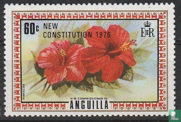 New Constitution