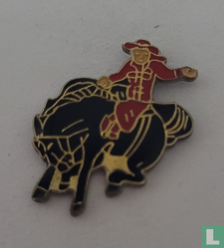 Rodeorijder