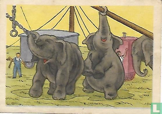 Dumbo