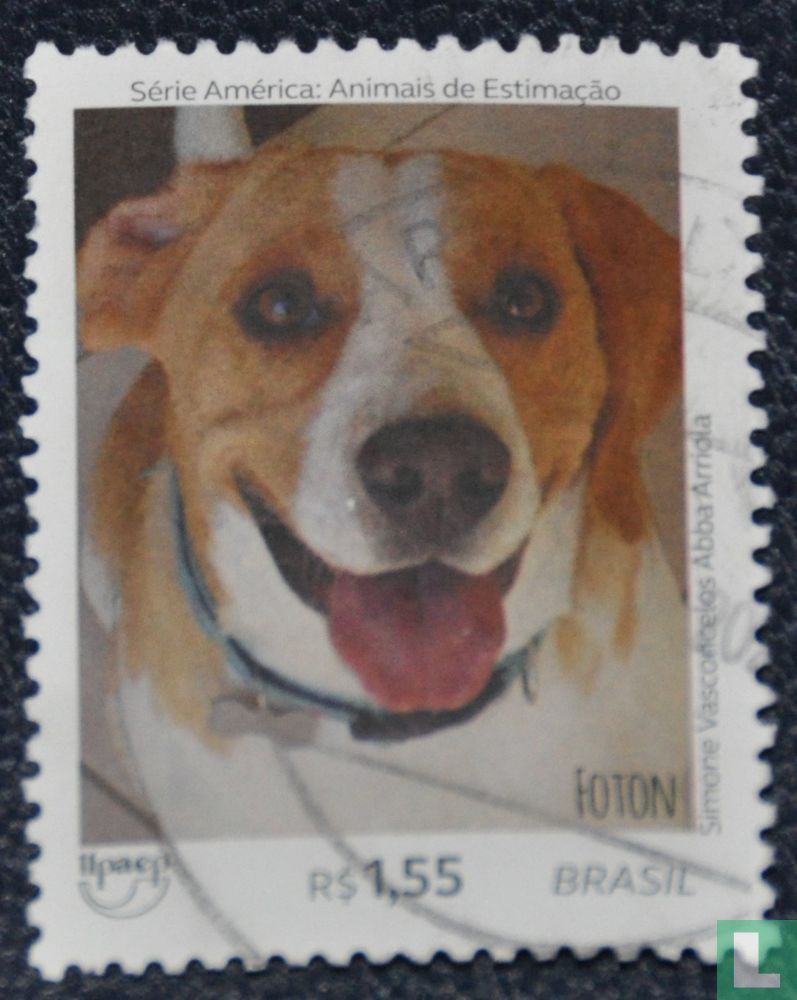 Dogs