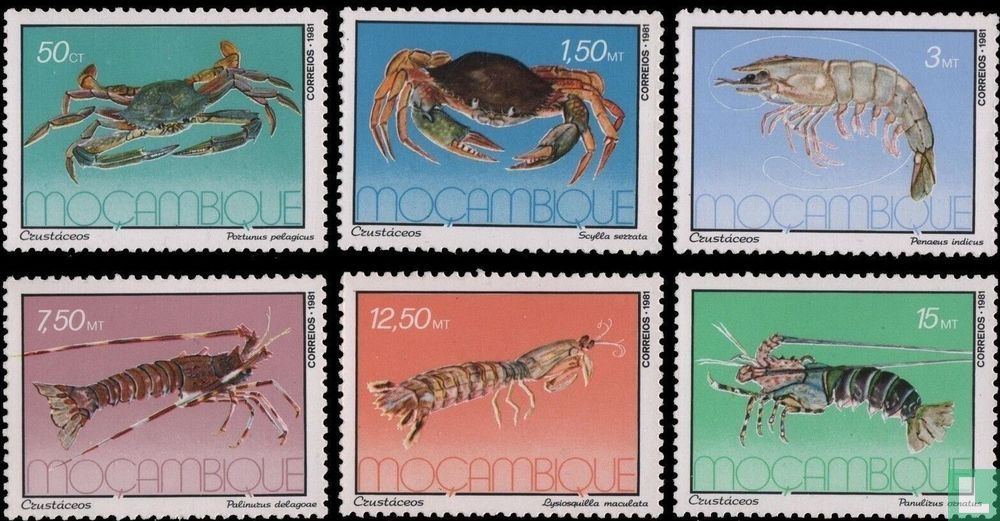 Créatures marines