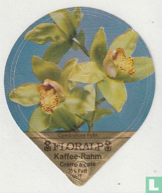 Cymbidium hybr.