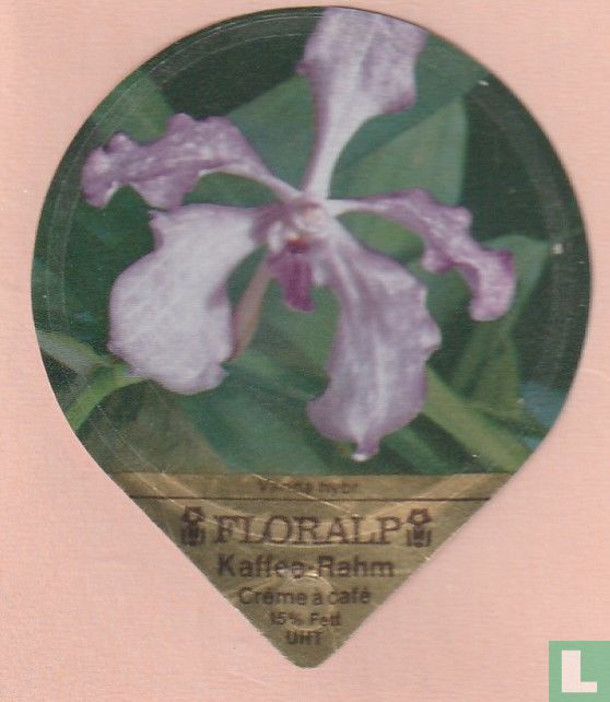 Vanda hybr.