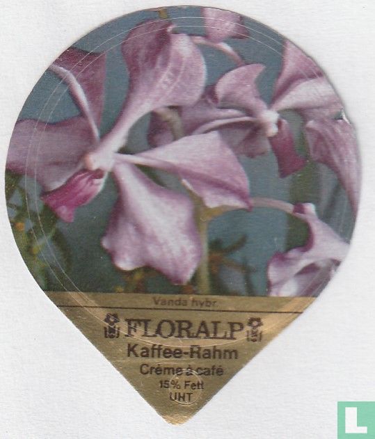Vanda hybr.