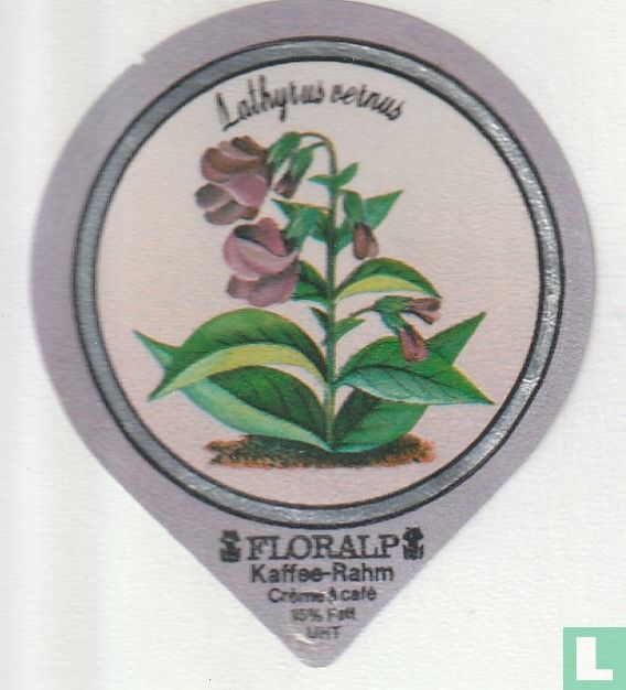 Lathyrus vernus
