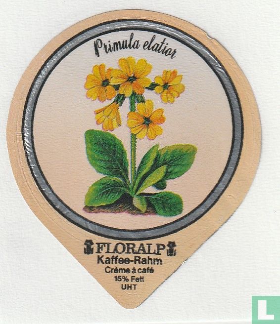 Primula elatior