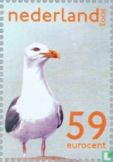 Wadden néerlandaise