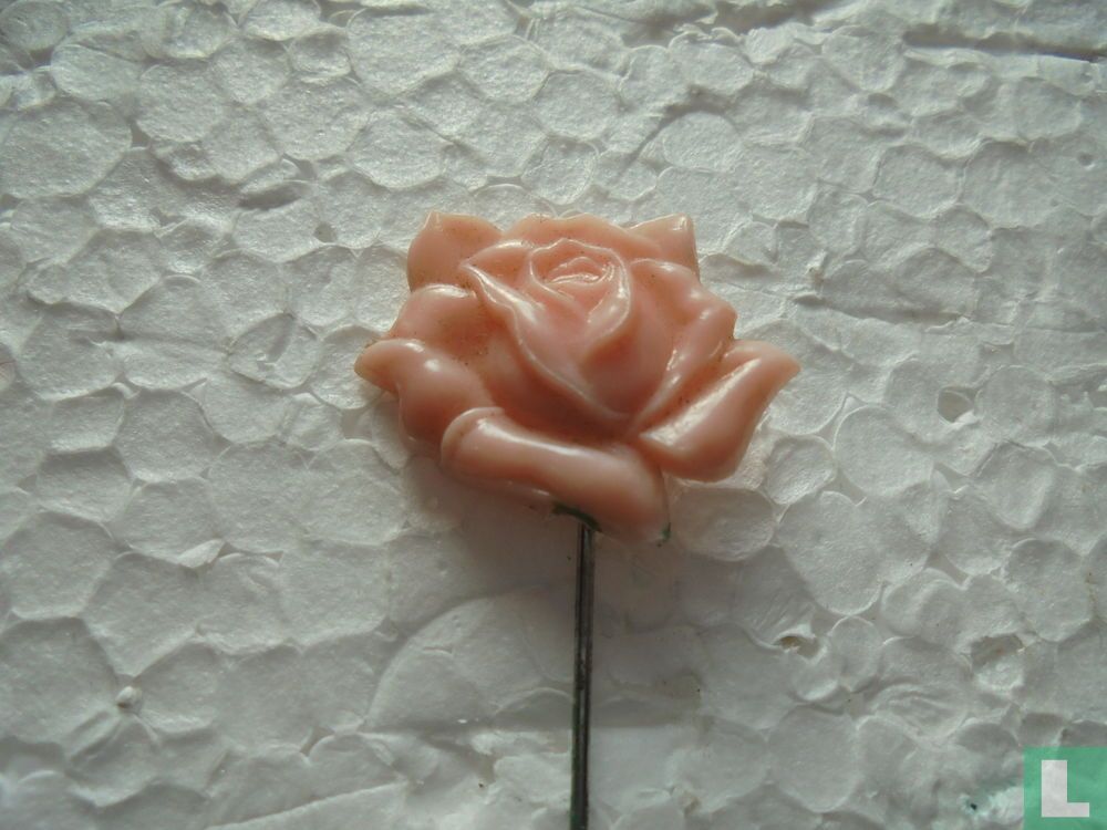 Roos [roze]