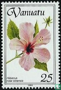 Des fleurs