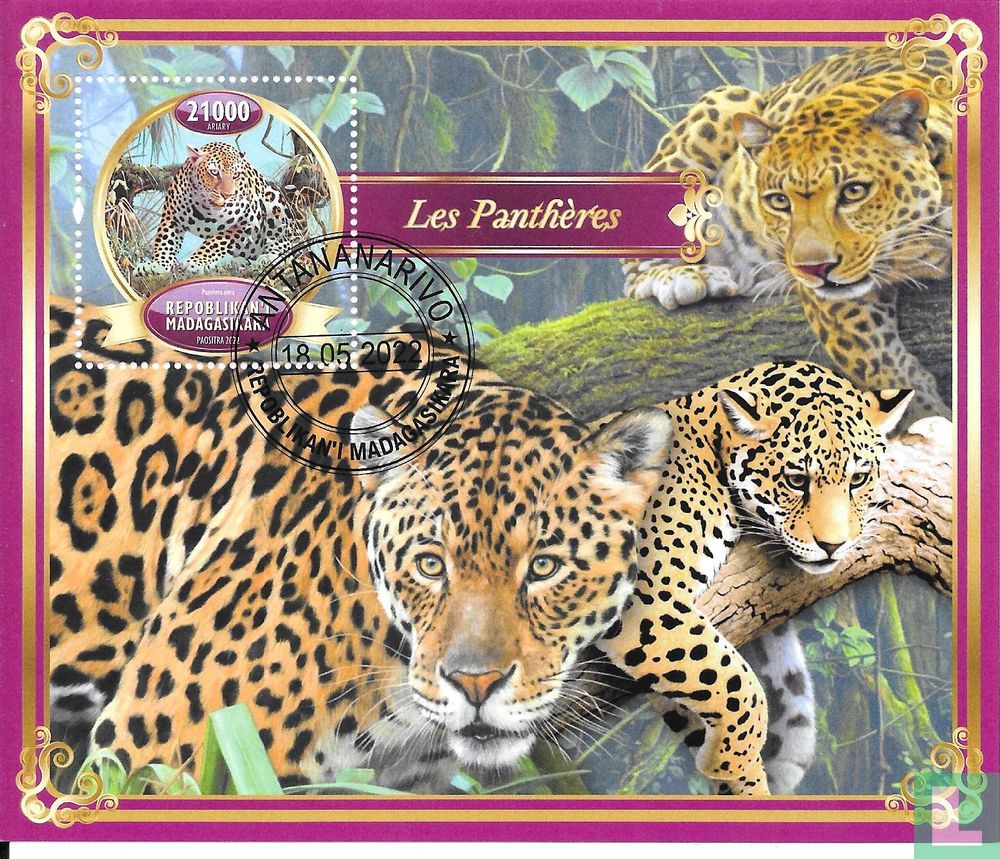 Panthère