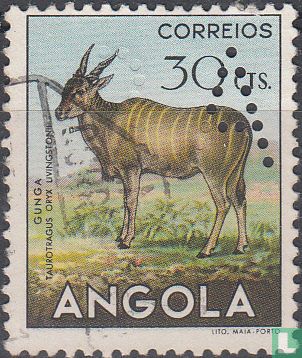Antilope