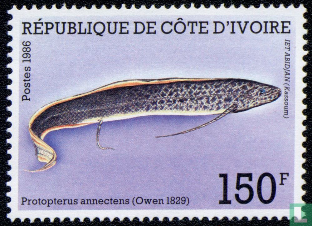 freshwater fish