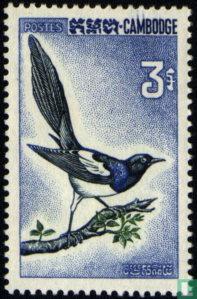 Oiseaux