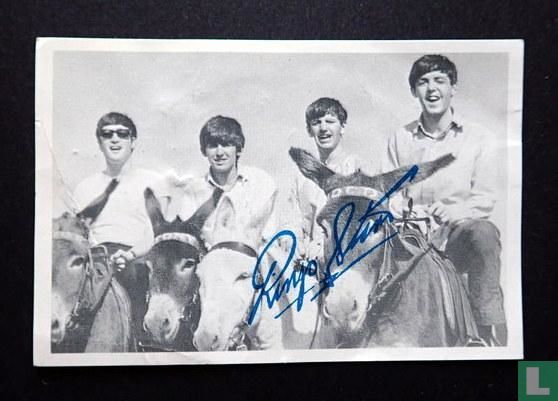 Beatles