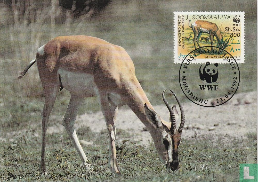 Gazelles