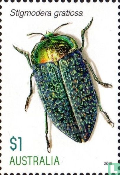 Schöne Käfer