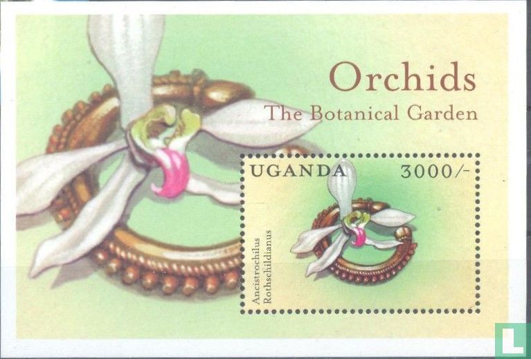 Orchideen