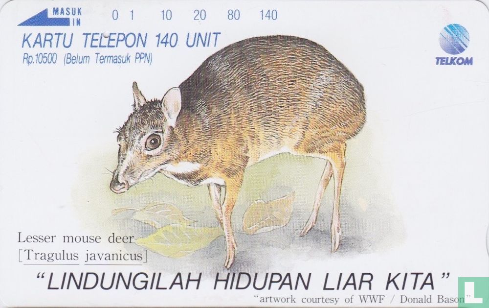 Lesser Mouse deer