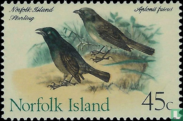 Oiseaux