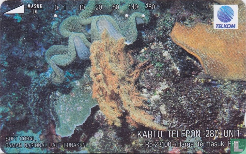 Soft Coral 