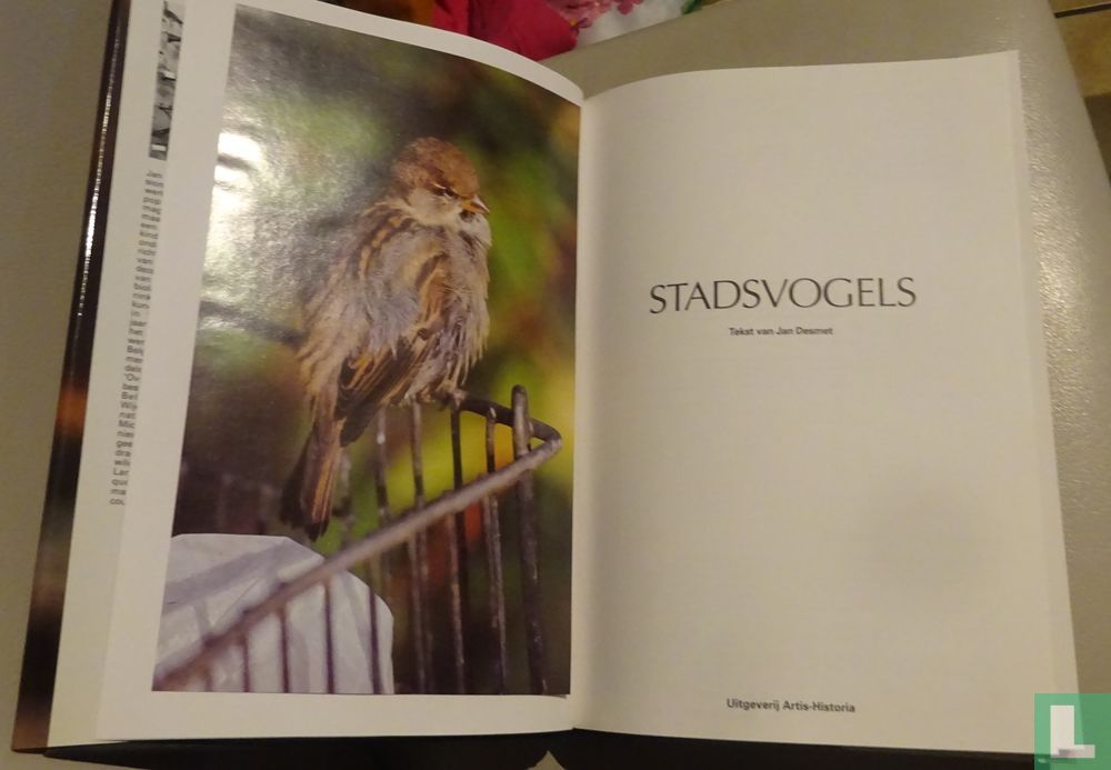 Stadsvogels