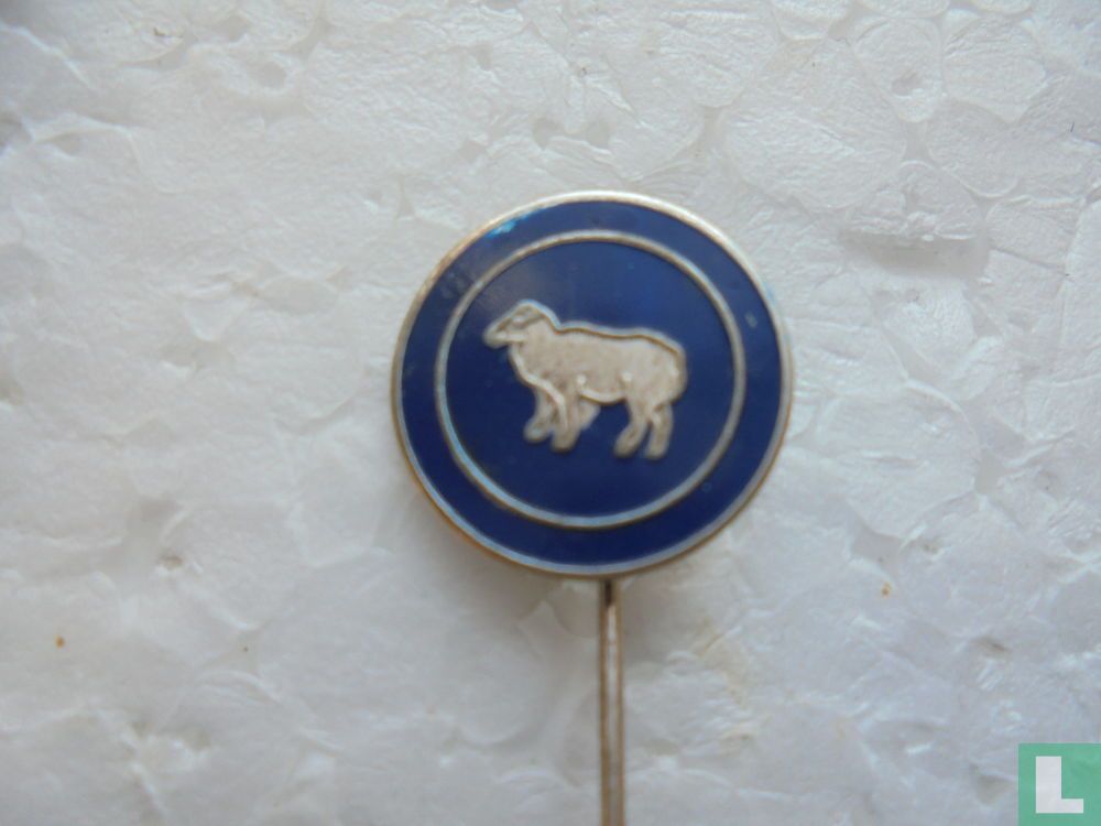 Schaap [blauw]