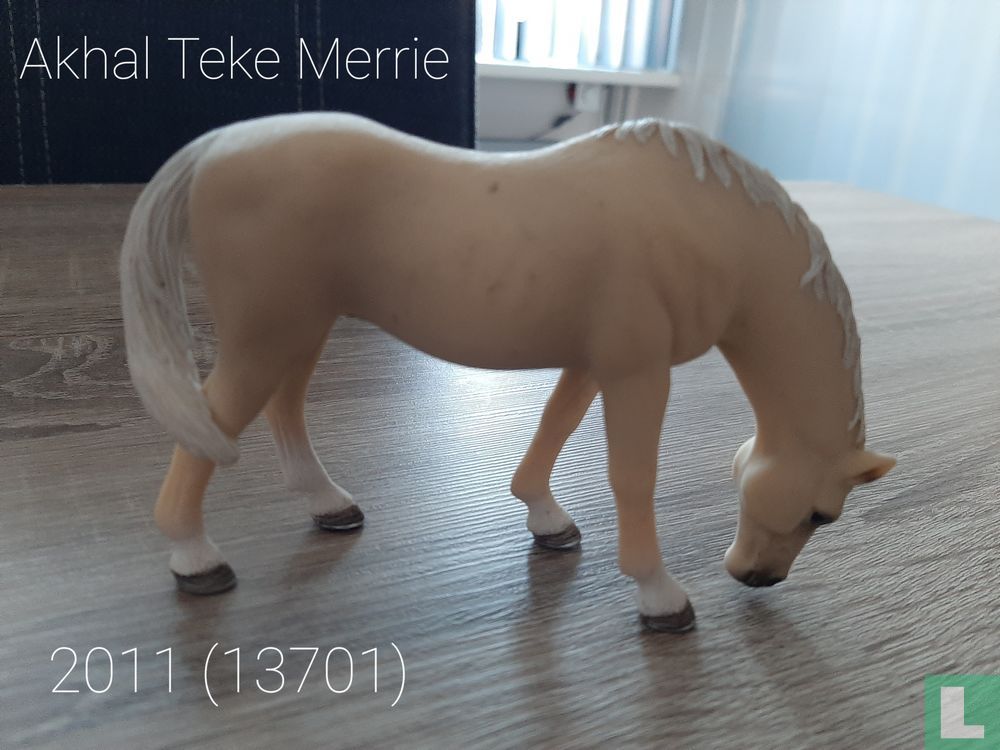 Akhal Teke Mare