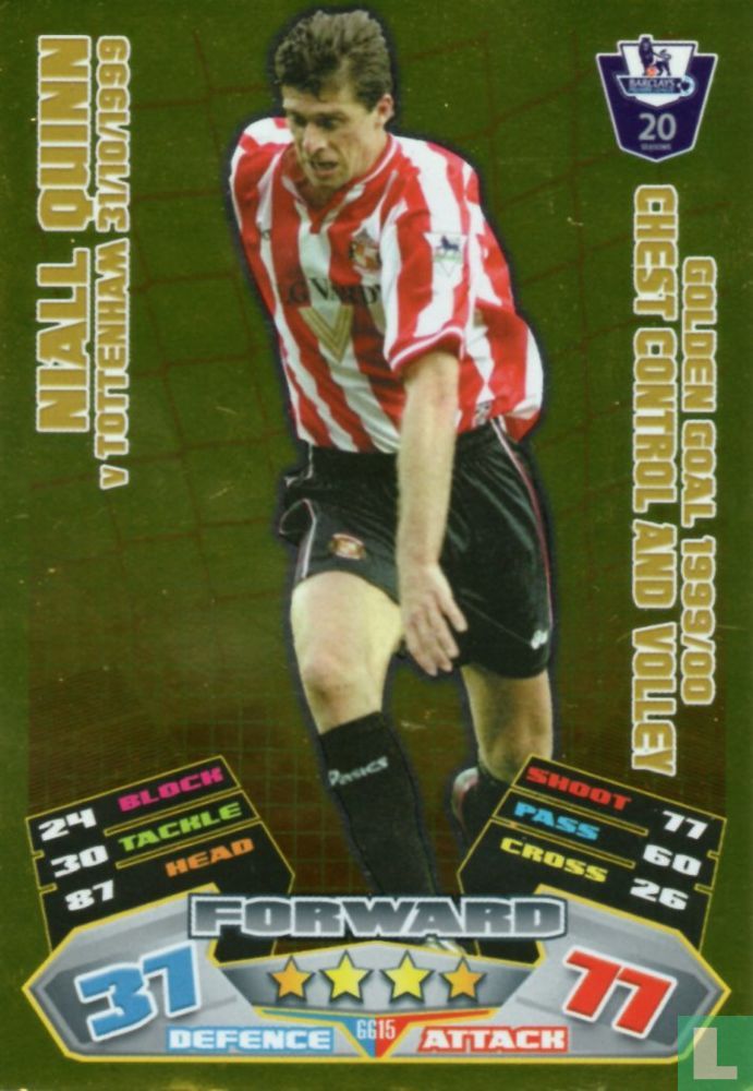 Niall Quinn