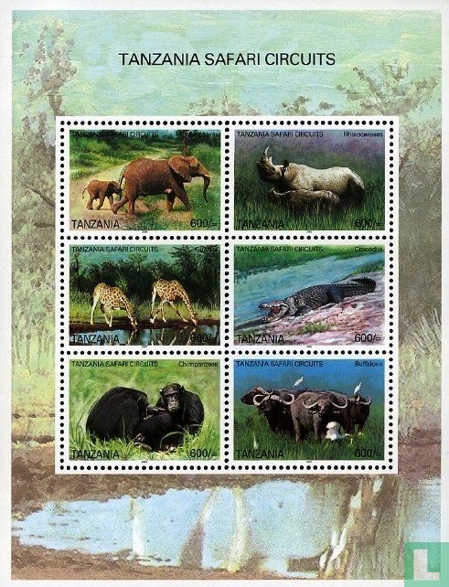 Safari